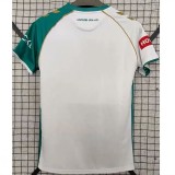2025 Werder Bremen Special Edition Fans Soccer Jersey