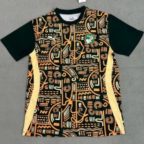 24-25 Ivory Coast Green Yellow Fans Training shirts
