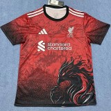 25-26 LIV Red Special Edition Fans Training shirts