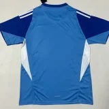 2025-26 Atletico Madrid Blue Goalkeeper Soccer Jersey