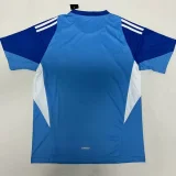 2025-26 Man Utd Blue Goalkeeper Fans Soccer Jersey