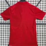 2025-26 Liverpool Red Commemorative Edition Fans Training shirts