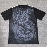 Liverpool  Black Special Edition Fans Training shirts 25/26