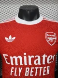2025-26 Arsenal Red Special Edition Player Version Training Shirts (三叶)