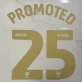 2024-25 Sunderland Away Print PROMOTED #25 Fans Soccer Jersey