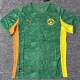 2025-26 Dortmund Special Edition Green Fas Soccer Jersey