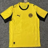 2025-26 Dortmund Yellow Special Edition Fans Soccer Jersey