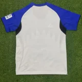 25-26 Hamburg SV Home Fans Soccer Jersey