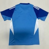 25-26 Juventus Blue Goalkeeper Soccer Jersey