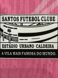 2024-25 Santos FC Pink Special Edition Player Version Training Shirts