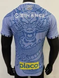 2024-25 Santos FC Blue Special Edition Player Version Training Shirts