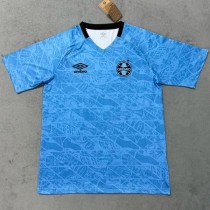 2025-26 Gremio Sky Blue Training Shirts