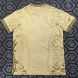 2025-26 Brazil Gold Special Edition Training shirts