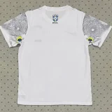 2025-26 Brazil White Special Edition Fans Soccer Jersey