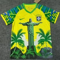 2025-26 Brazil Yellow Green Special Edition Training shirts