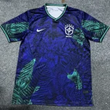 2025-26 Brazil Purple Special Edition Training shirts