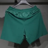 2025-26 Portugal Home Player Version Shorts Pants (High Quality)(球员短裤)