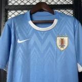2025-26 Uruguay Home Fans Soccer Jersey