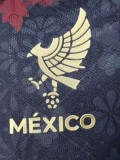 2025-26 Mexico Special Edition Player Version Soccer Jersey