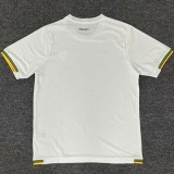 2025-26 Cameroon White Training shirts