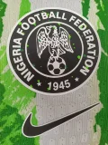 2025-26 Nigeria Home Player Version Soccer Jersey