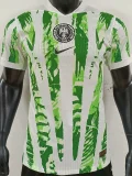 2025-26 Nigeria Home Player Version Soccer Jersey