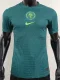 2025-26 Nigeria Away Player Version Soccer Jersey