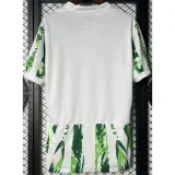 2025-26 Nigeria Home Fans Soccer Jersey
