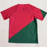2025-26 Morocco Red Green Special Edition Training shirts