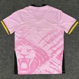 2025-26 Cameroon Pink Fans Soccer Jersey