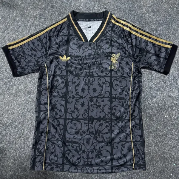 25-26 Liverpool Grey Black Special Edition Training shirts
