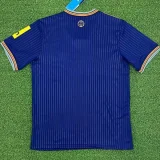 2025-26 Newcastle Third Fans Soccer Jersey