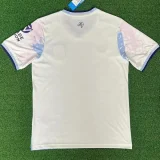 2025-26 Aston Villa Third Fans Soccer Jersey