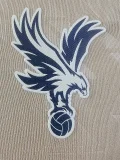 2025-26 Crystal Palace Away Player Version Soccer Jersey