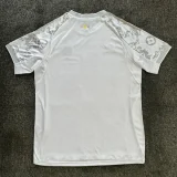 2025-26 Real Madrid  Silver Grey Special Edition Fans Training Shirts