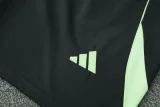 2025-26 Real Madrid Light green Training Short Suit