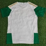 2026-27 Italy White Training shirts