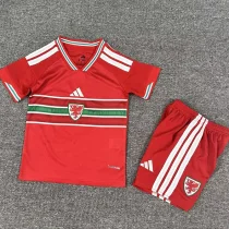 2026-27 Wales Home Kids Soccer Jersey