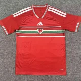 2026-27 Wales Home Fans Soccer Jersey