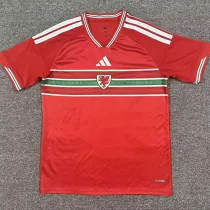 2026-27 Wales Home Fans Soccer Jersey