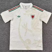 2026-27 Wales Away Fans Soccer Jersey