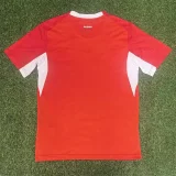 2026-27 Switzerland Home Fans Soccer Jersey
