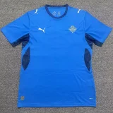 2026-27 Iceland Home Fans Soccer Jersey