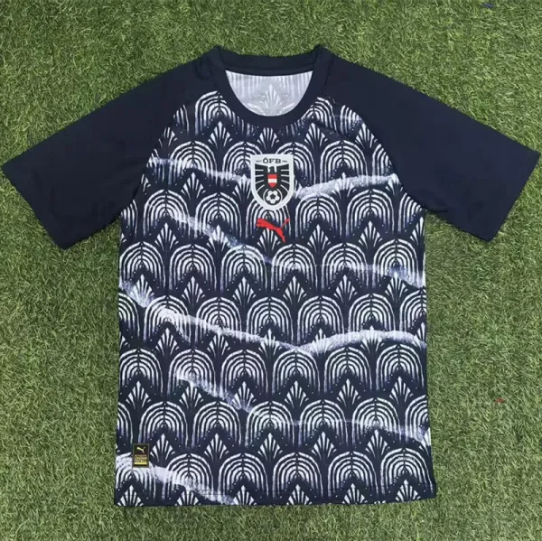2025-26 Austria Grey Black Training shirts