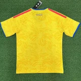 2026-27 Colombia Home 1:1 Fans Soccer Jersey
