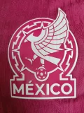 2026-27 Mexico Pink Goalkeeper Player Version Soccer Jersey