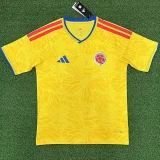 2026-27 Colombia Home 1:1 Fans Soccer Jersey