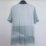 2026 Mexico World Cup Culture Promotion 1:1 Green Fans Training shirts