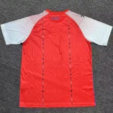 2026-27 Haiti Third Fans Soccer Jersey