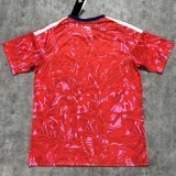 2026-27 Costa Rica Home Fans Soccer Jersey